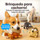 Brinquedo Interativo de Pelúcia para Cães – Dançante e Mordedor Divertido | Tailzinho