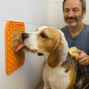 Tapete de Lamber com Ventosa em Silicone – Alimentação Lenta e Relaxante | Tailzinho