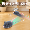Rato Elétrico Interativo para Gatos – Brinquedo de Caça Inteligente e Divertido | Tailzinho