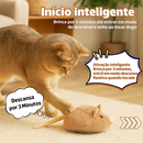 Rato Elétrico Interativo para Gatos – Brinquedo de Caça Inteligente e Divertido | Tailzinho