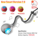 Bola Inteligente Interativa Recarregável para Gatos – Movimento Automático e Cauda Realista | Tailzinho