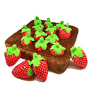 Tapete Olfativo Interativo com Cenouras – Enriquecimento e Alívio de Estresse | Tailzinho